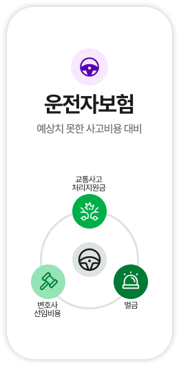 이미지5